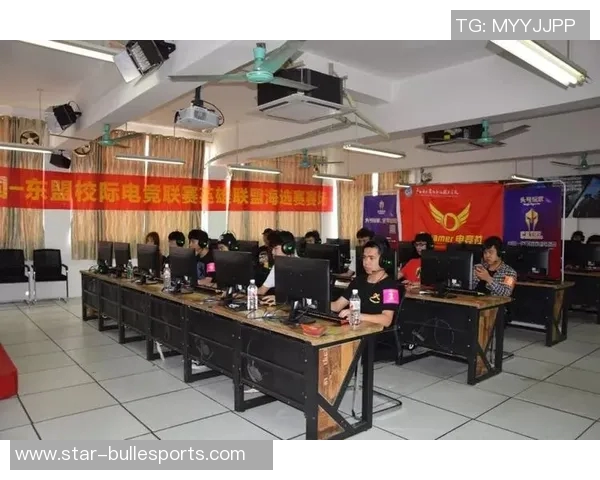 专访刘娜揭秘王者荣耀成功背后的策略与创新之路